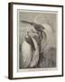 Birds of Paradise in the Zoological Society's Gardens-null-Framed Giclee Print