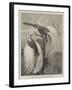 Birds of Paradise in the Zoological Society's Gardens-null-Framed Giclee Print