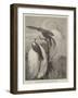 Birds of Paradise in the Zoological Society's Gardens-null-Framed Giclee Print