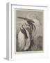 Birds of Paradise in the Zoological Society's Gardens-null-Framed Giclee Print