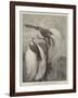 Birds of Paradise in the Zoological Society's Gardens-null-Framed Giclee Print