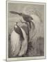 Birds of Paradise in the Zoological Society's Gardens-null-Mounted Giclee Print