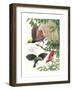 Birds of Paradise-English School-Framed Giclee Print