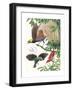 Birds of Paradise-English School-Framed Giclee Print