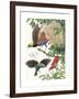 Birds of Paradise-English School-Framed Giclee Print