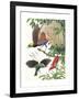 Birds of Paradise-English School-Framed Giclee Print