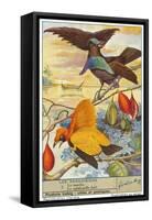 Birds of Paradise-null-Framed Stretched Canvas