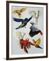 Birds of Paradise-Sydney Edmunds-Framed Giclee Print