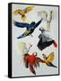 Birds of Paradise-Sydney Edmunds-Framed Stretched Canvas