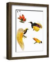 Birds of Paradise-null-Framed Giclee Print