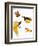 Birds of Paradise-null-Framed Giclee Print