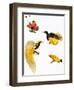 Birds of Paradise-null-Framed Giclee Print