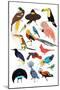 Birds of Paradise-Hanna Melin-Mounted Art Print