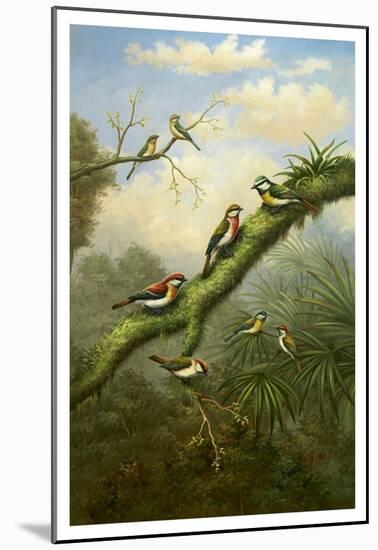 Birds of Plenty-Bilben-Mounted Art Print