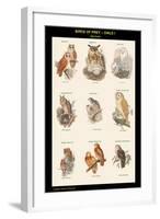 Birds of Prey - Owls - I-John Gould-Framed Art Print