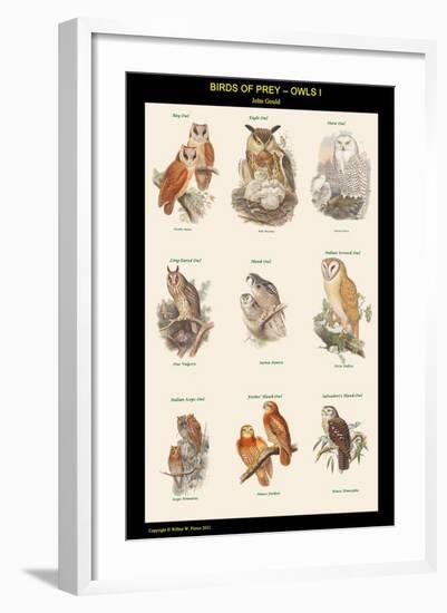 Birds of Prey - Owls - I-John Gould-Framed Art Print