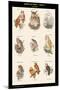 Birds of Prey - Owls - I-John Gould-Mounted Art Print