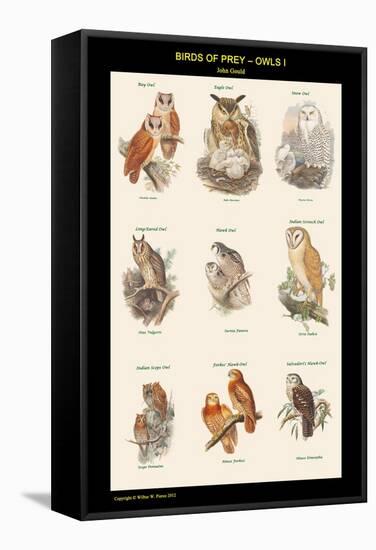 Birds of Prey - Owls - I-John Gould-Framed Stretched Canvas