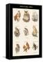 Birds of Prey - Owls - I-John Gould-Framed Stretched Canvas