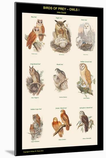 Birds of Prey - Owls - I-John Gould-Mounted Art Print