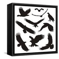 Birds of Prey-elvil-Framed Stretched Canvas