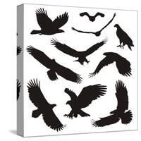 Birds of Prey-elvil-Stretched Canvas