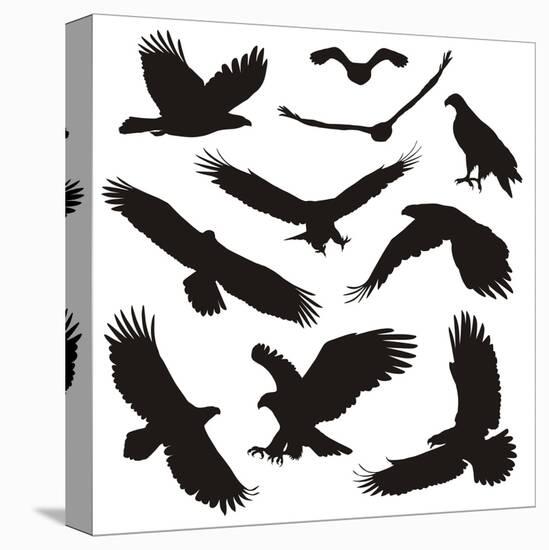 Birds of Prey-elvil-Stretched Canvas