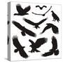 Birds of Prey-elvil-Stretched Canvas