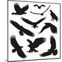 Birds of Prey-elvil-Mounted Art Print