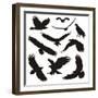 Birds of Prey-elvil-Framed Art Print