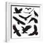 Birds of Prey-elvil-Framed Art Print