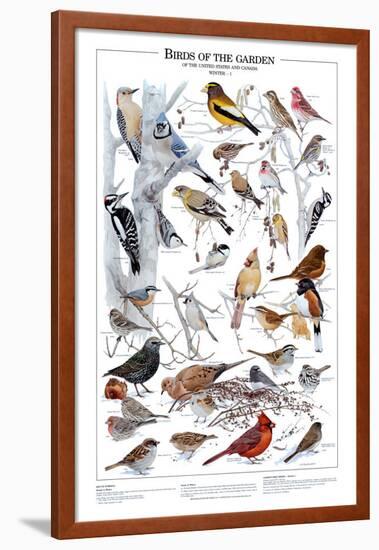 Birds of the Garden Winter I-null-Framed Art Print