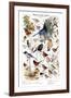 Birds of the Garden Winter II-null-Framed Art Print