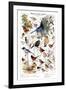 Birds of the Garden Winter II-null-Framed Art Print