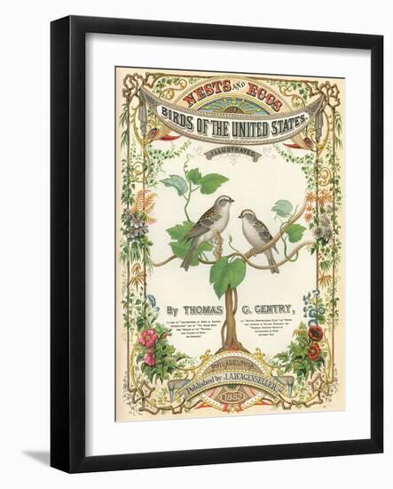 Birds of the US, Eggs and Nests-null-Framed Art Print