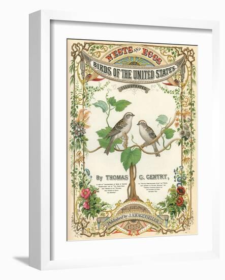 Birds of the US, Eggs and Nests-null-Framed Art Print