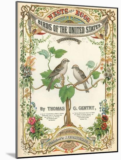 Birds of the US, Eggs and Nests-null-Mounted Art Print