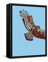 Birds of Wentwood Forest-Drawpaint Illustration-Framed Stretched Canvas