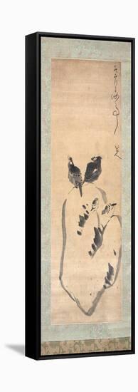 Birds on a Lake Rock, 1690-Zhu Da-Framed Stretched Canvas