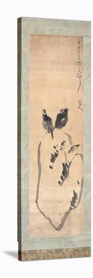Birds on a Lake Rock, 1690-Zhu Da-Stretched Canvas