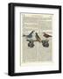 Birds on a Skateboard-Marion Mcconaghie-Framed Art Print