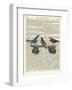 Birds on a Skateboard-Marion Mcconaghie-Framed Art Print