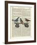 Birds on a Skateboard-Marion Mcconaghie-Framed Art Print