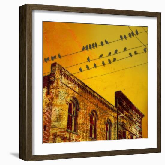 Birds on a Wire I-James McMasters-Framed Art Print
