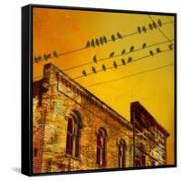 Birds on a Wire I-James McMasters-Framed Stretched Canvas