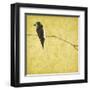 Birds On Branch-Jace Grey-Framed Art Print