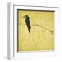 Birds On Branch-Jace Grey-Framed Art Print