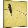 Birds On Branch-Jace Grey-Mounted Art Print