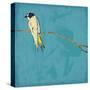 Birds On Branch-Jace Grey-Stretched Canvas