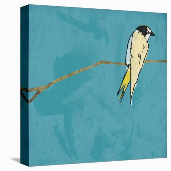 Birds On Branch-Jace Grey-Stretched Canvas